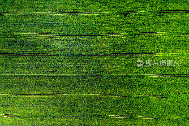 农业领域dron view